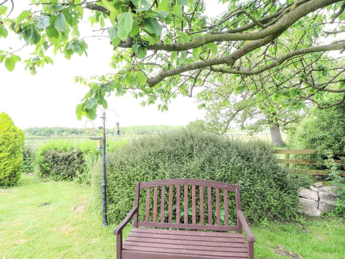 Springfield Cottage Wrexham Ngoại thất bức ảnh